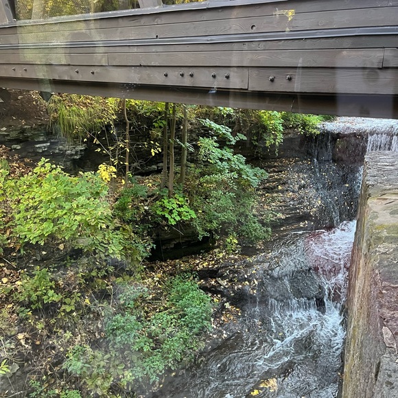 Meet your Posher, Meagan - Picture 1 of 1